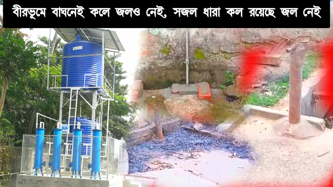 কল আছে সজল I ধারার, জল নেই। জল যদিও আছে তাও আর দুর্গন্ধ।