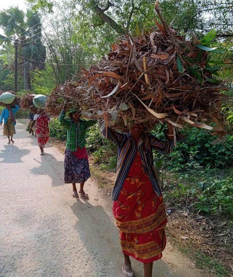প্রচন্ড দাবদাহে উপেক্ষা করে পেট ভরানোর জন্য জ্বালানি সংগ্রহে আদীবাসি মহিলাগণ
