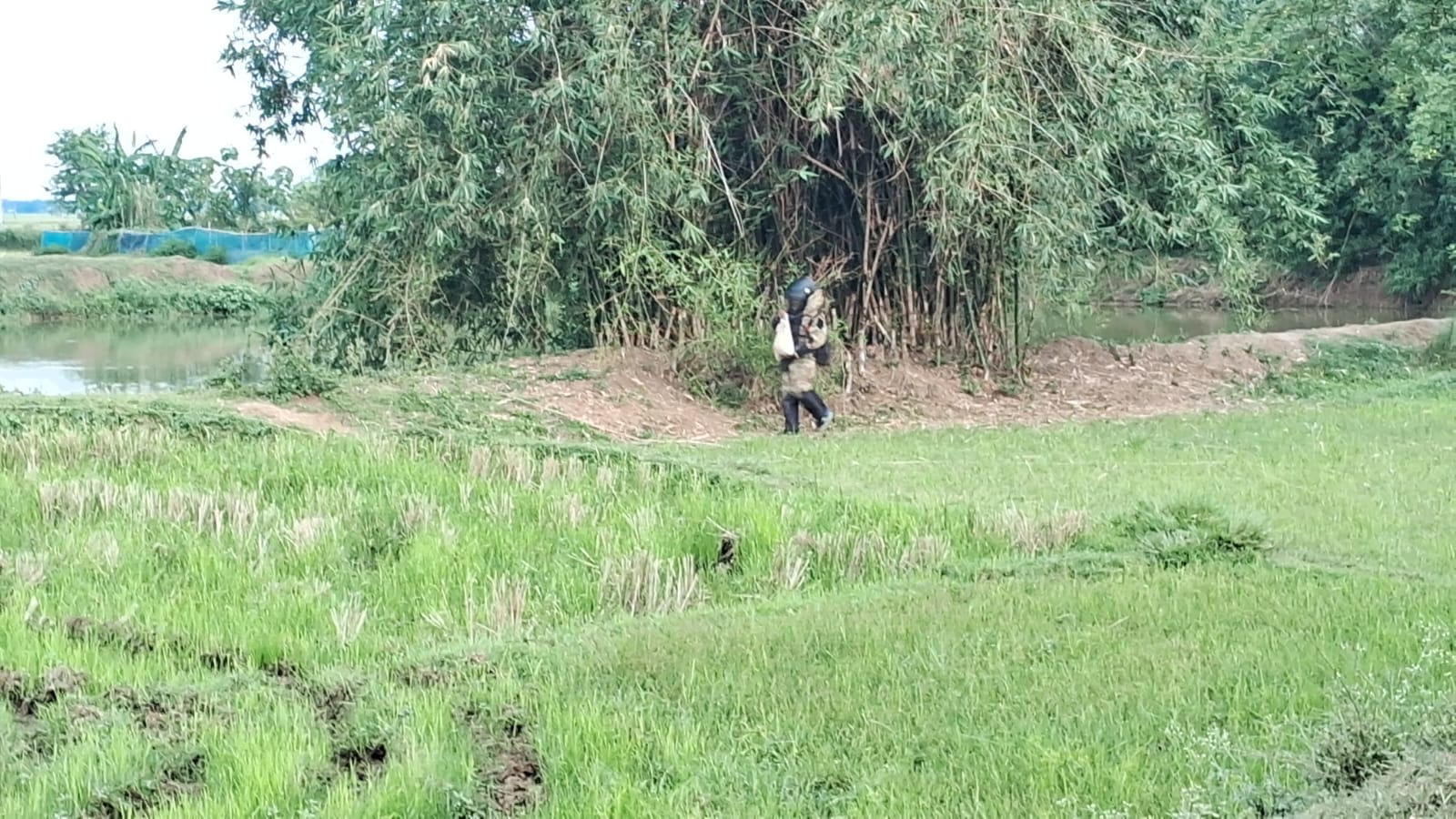 গ্রামের বাঁশ ঝোরের ব্যাগে বোমা, আতঙ্কে গোটা গ্রাম।