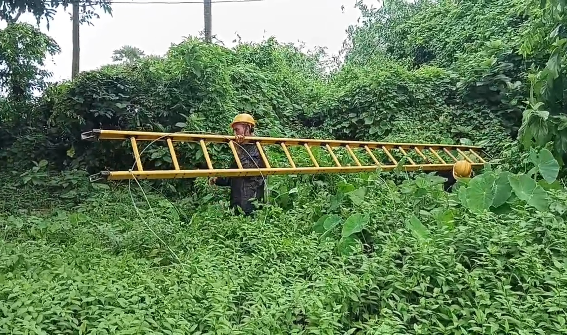 প্রবল বৃষ্টির মধ্যেই ইলেকট্রিক তার ছিঁড়ে বিদ্যুৎ পৃষ্ঠ হয়ে মৃত্যু প্রৌঢ়ার