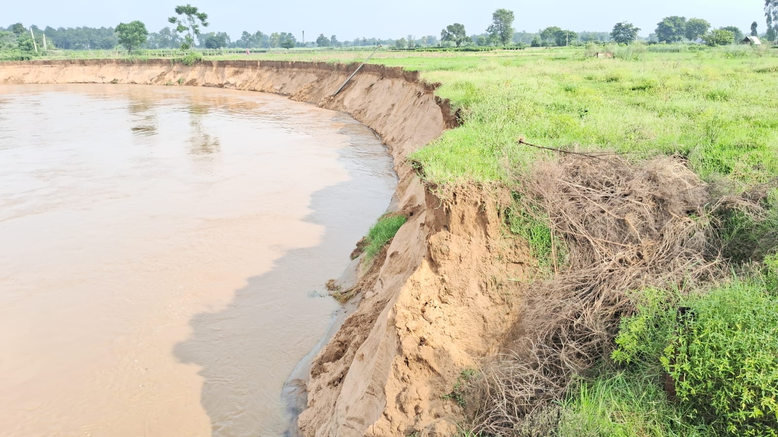 লাগাতার বৃষ্টির জেরে রাজ্যে ফুঁসছে একাধিক নদী, ভাঙছে পার, তলিয়ে যাচ্ছে জমির ফসল, ফসল হারিয়ে মাথায় হাত বীরভূমের চাষীদের।