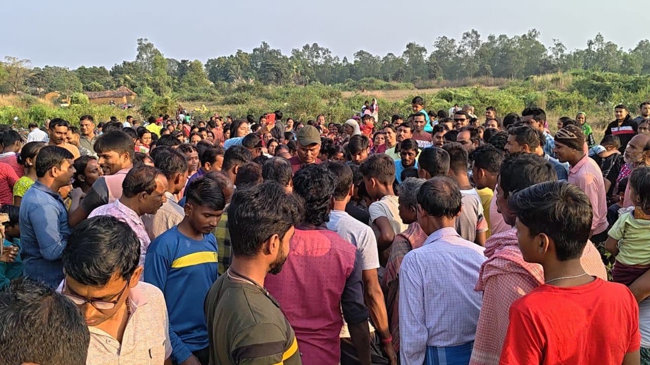 বিশালাকার পাহাড়ি বাবু গ্রামে এসে বিপদে, গ্রামবাসীদের তারা খেয়ে চরে বসলো বেলগাছে ভয়ে বেলগাছ ভরসা পাহাড়ি বাবু দেখুন ভিডিও।